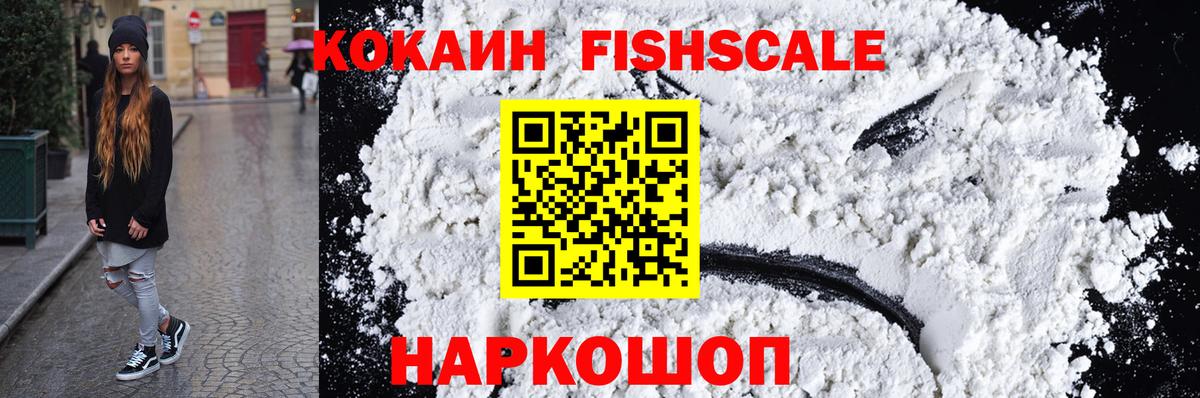 Cocaine Fish Scale  Cocaine 97%  Ишим  Вход с VPN 