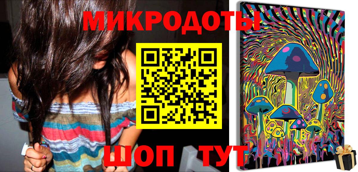 Псилоцибиновые грибы Cubensis Ишим